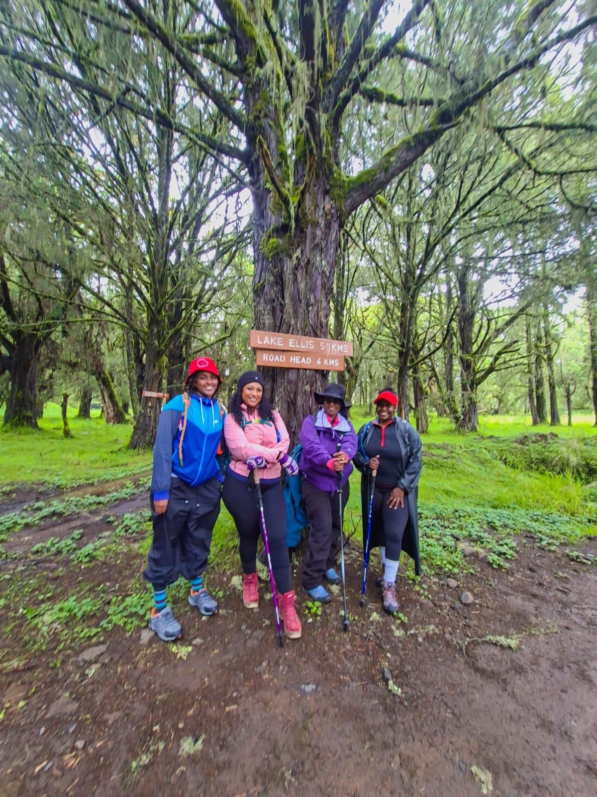 Lake Ellis - Mt Kenya — photo 2