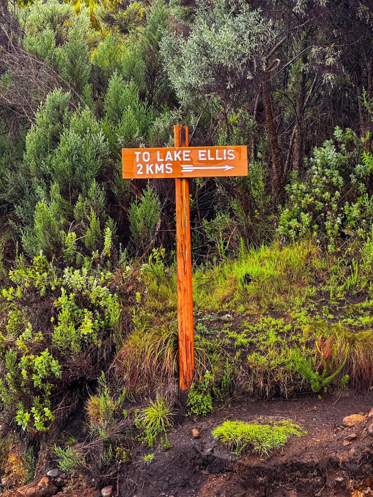 Lake Ellis - Mt Kenya — photo 3