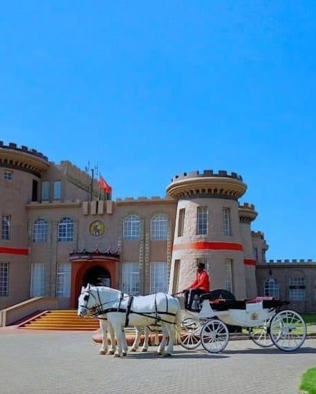 Tafaria Castle — photo 3